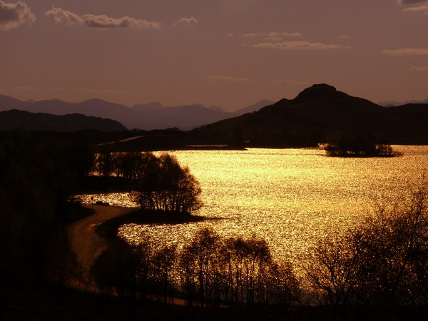 Golden Water